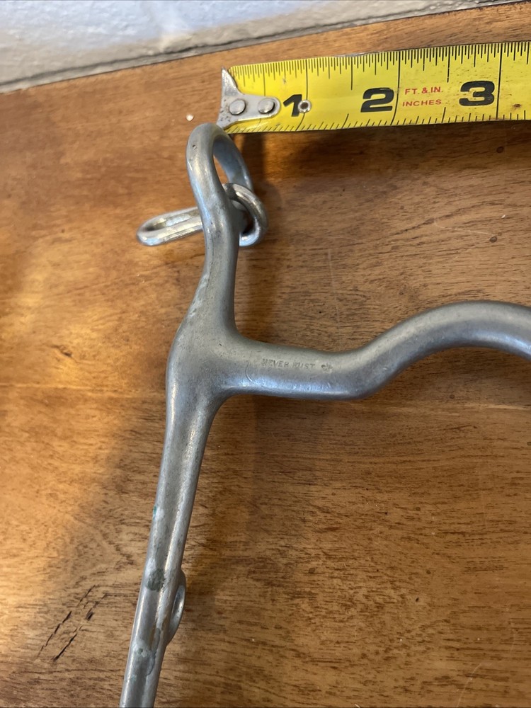 English Bit- Never Rust