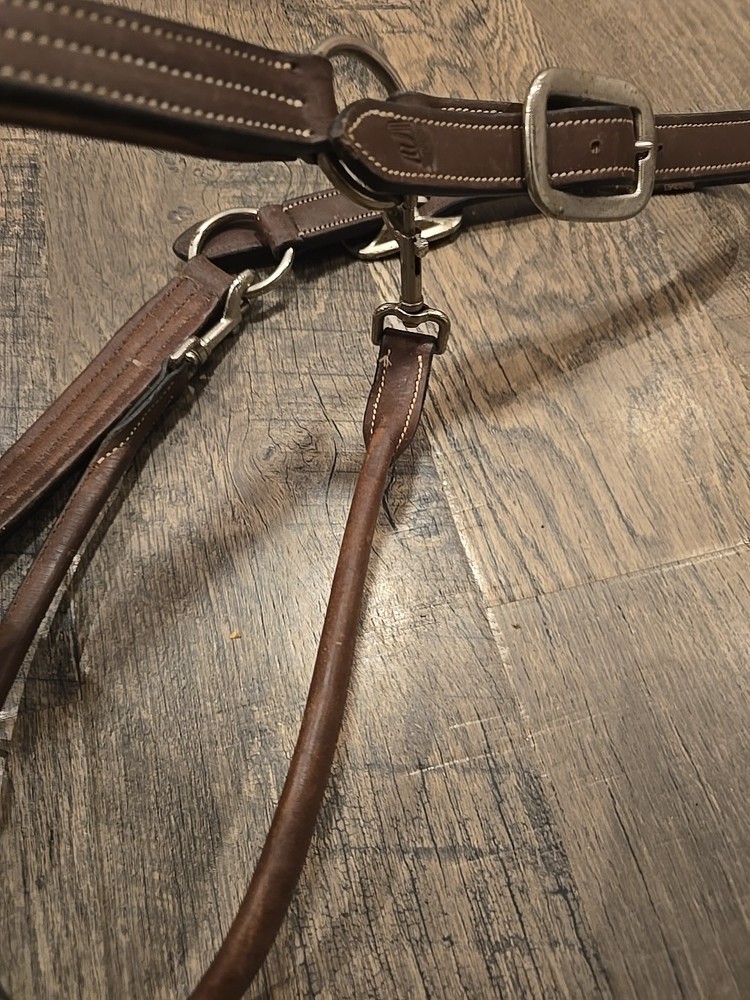 horse halter