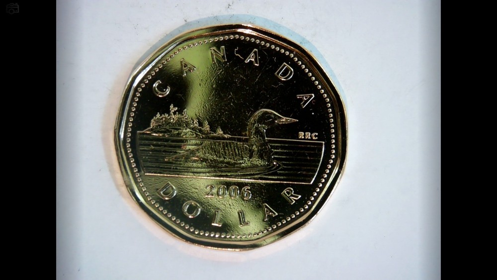 Canada 2006 1 Dollar Loonie (Common Loon) Coin