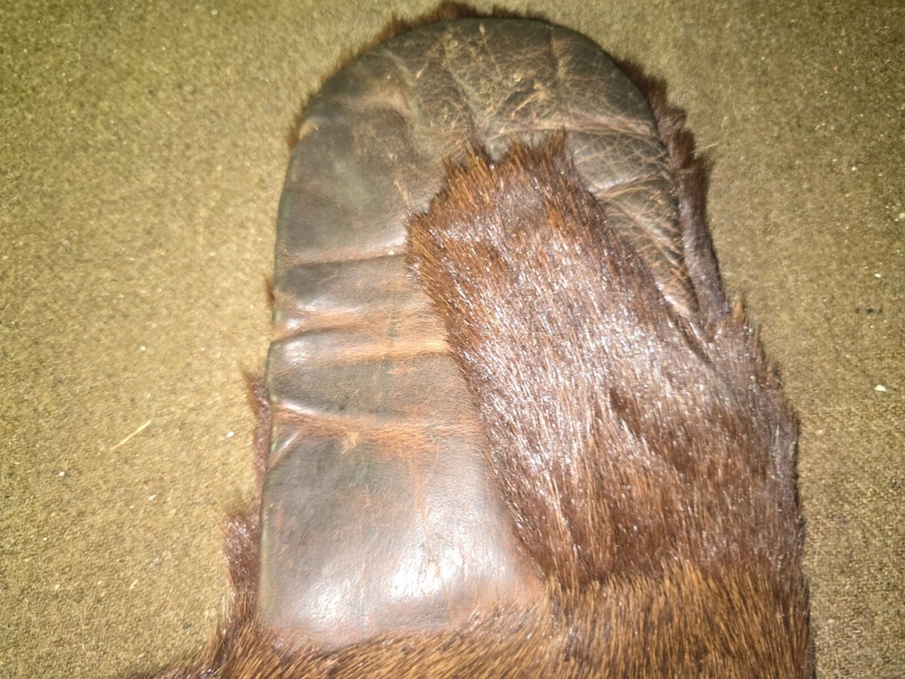 Antique Winter Outdoor Mittens