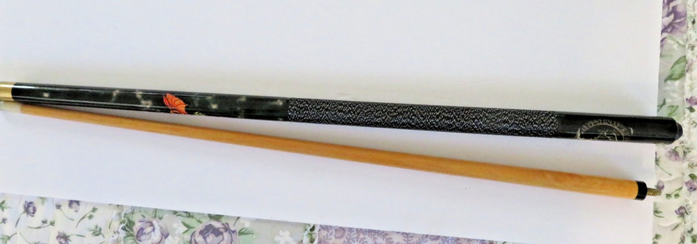 Billiard/Pool Cue Skull and Dragons Design with Case