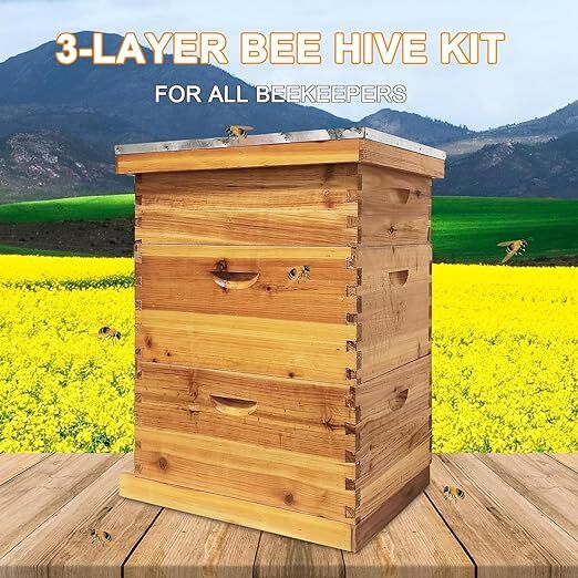 Natural Bees Wax Coated Bee Hive 1 Medium &2 Deep Boxes for Beginners No Frames