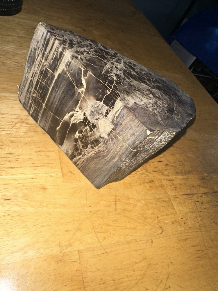 Petrified Wood Slab