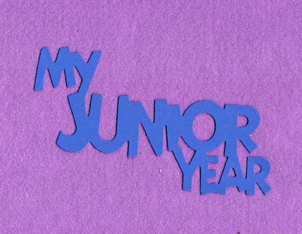 "MY JUNIOR YEAR" die cuts scrapbook cards