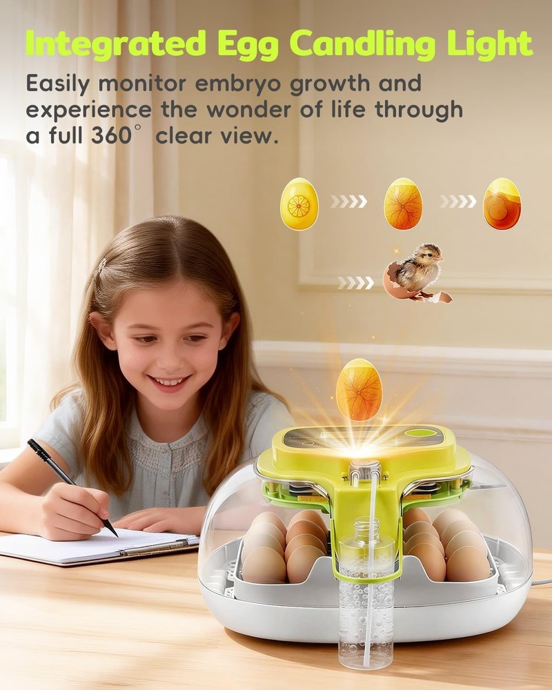 16 Egg Incubator with Automatic Turn, Digital Temp & Humidity Control & Candler