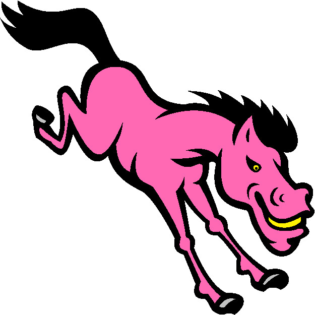 30 Custom Pink Bronco Personalized Address Labels