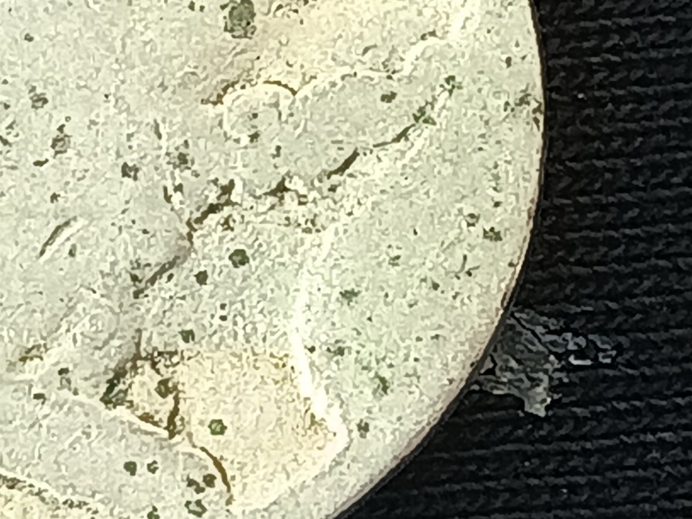 Undated Indian Head Buffalo Nickle