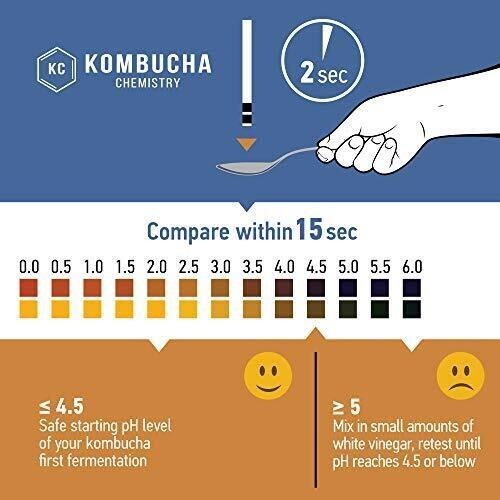 Ph Test Strips For Kombucha Brewing 06 0.5 Intervals 100pc Kit