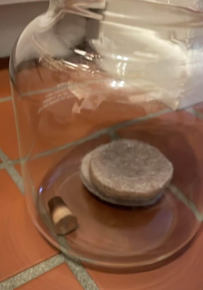 Toddy Cold Brew Coffee Maker System - White used - Read Description