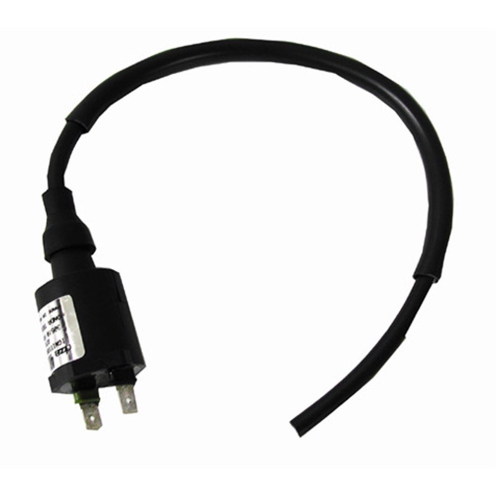 Ricks Ignition Coil 23-602