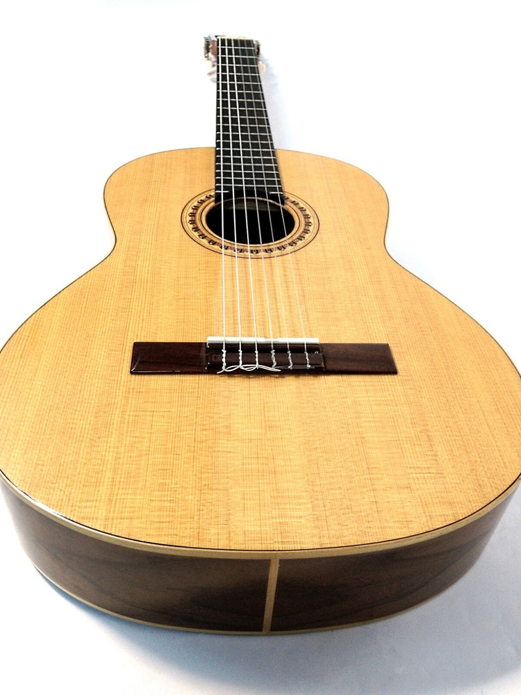 Miguel Rosales Model 10 Solid Spruce Top Classical Guitar + Lockable Hard Case