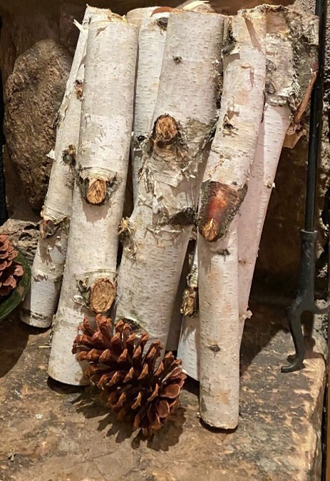 All Natural White Birch Fireplace Log Bundle