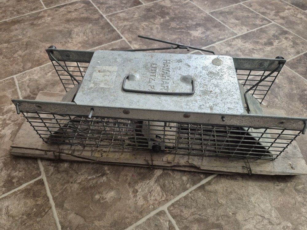 VINTAGE HAVAHART SMALL LIVE TRAP
