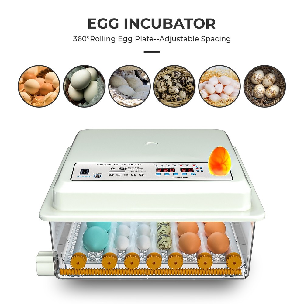 36 Egg Incubator with Auto-Turning, Temperature & Humidity Control Egg Hatcher