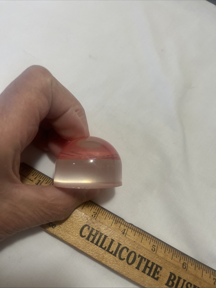 Norpro Egg Timer Multicolor Function Kitchen Standard Mixed Materials FREE SHIP