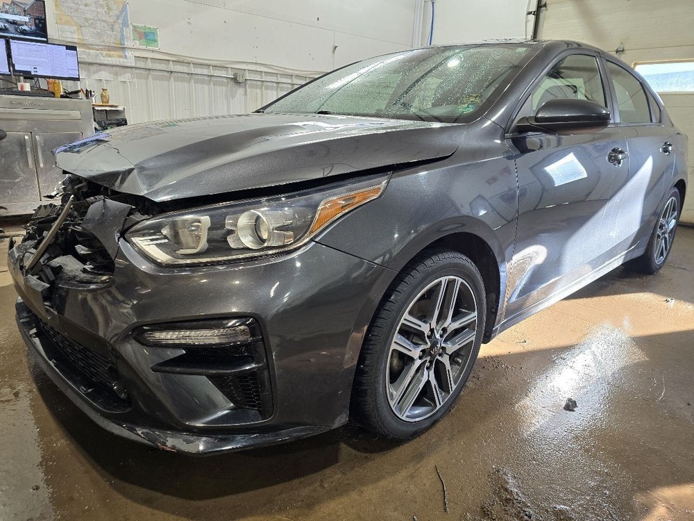 FORTE 2019 Owners Manual 611272