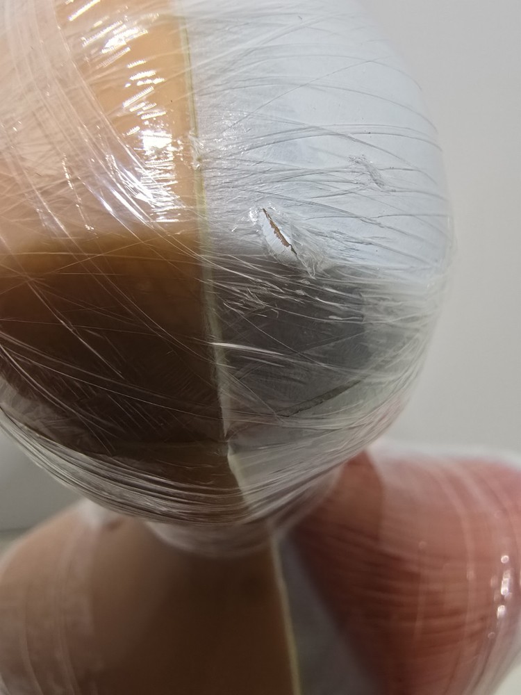 Evotech Mini Human Torso 10 inch Science Learning School