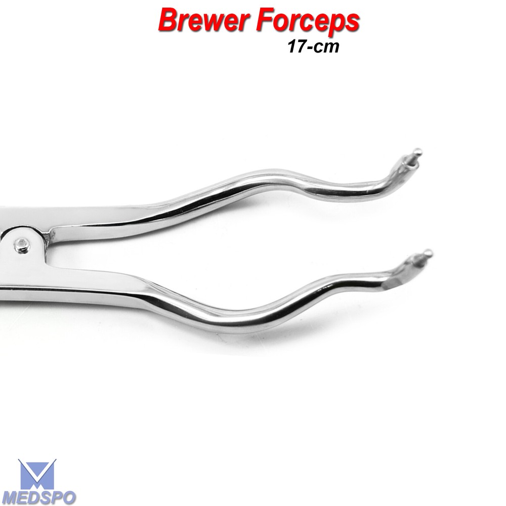 Dental Rubber Dam Brewer Type Clamp Forceps Palmer Endodontic Instruments