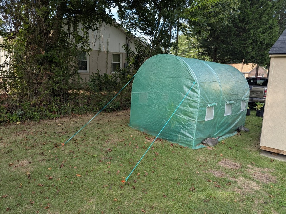 Green House
