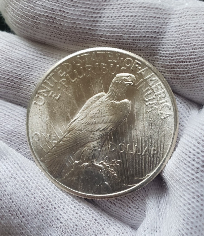 1925 P Peace Dollar BU
