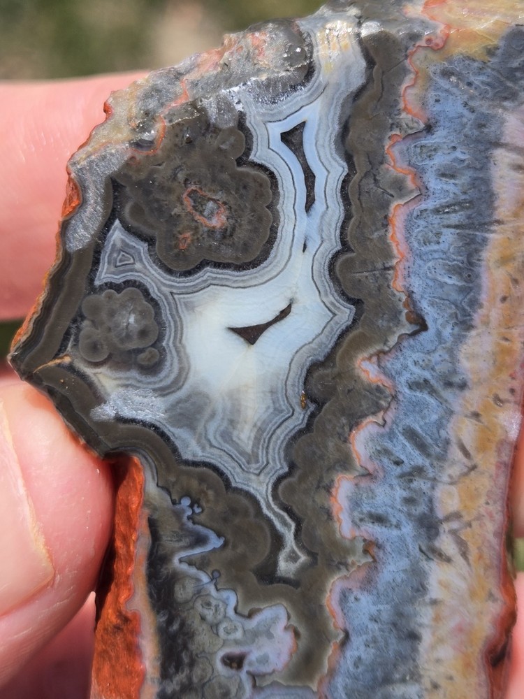 Turkish Agate Slabs Slices From Two Stones Matching Lapidary Unique