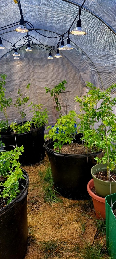 From Seed to Harvest.