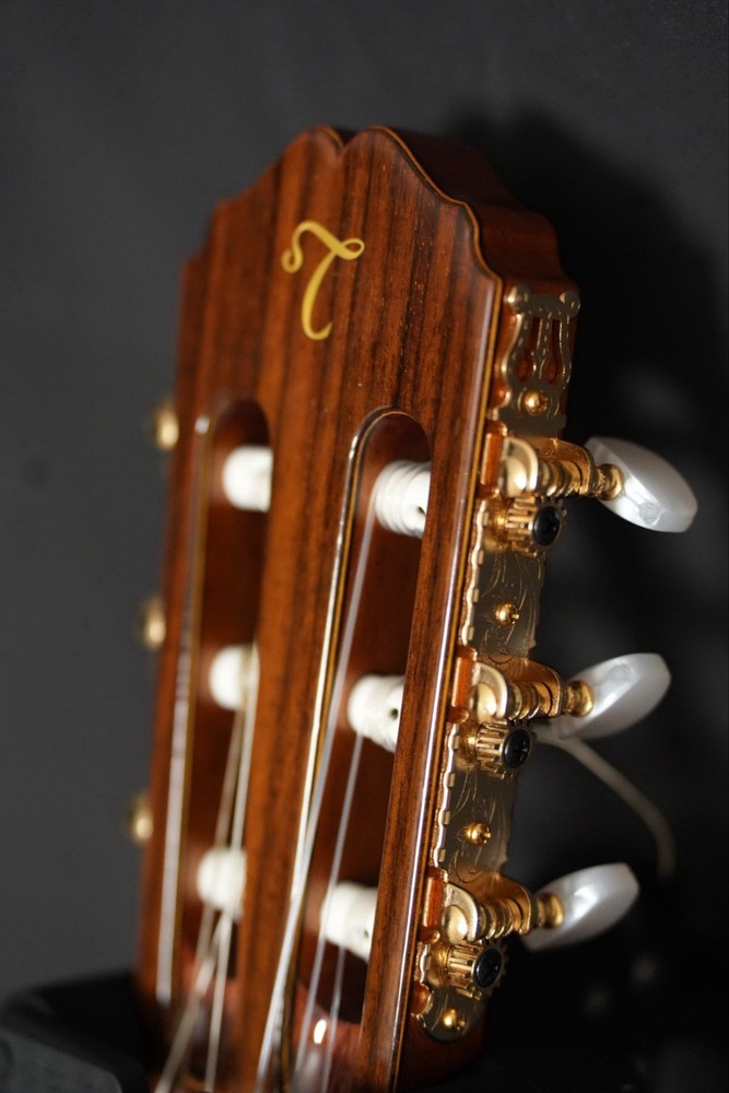 Takamine Classical Nylon String Guitar Model TC132SC