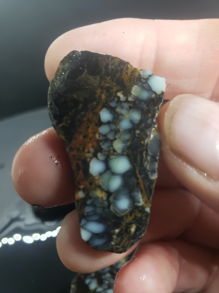 Aloe Variscite Slabs