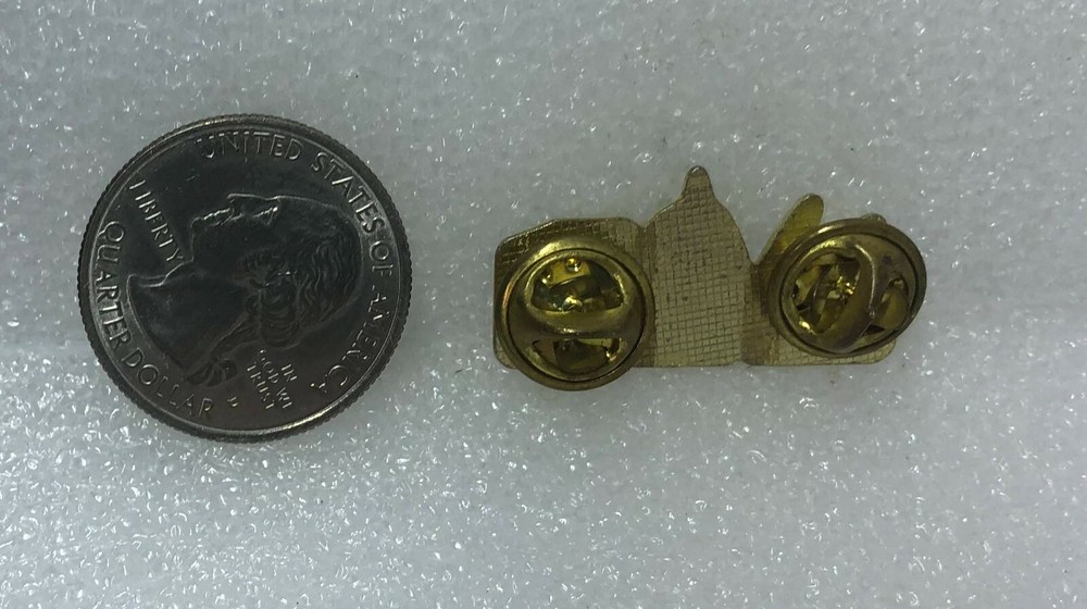 Be Fire Safe Pin