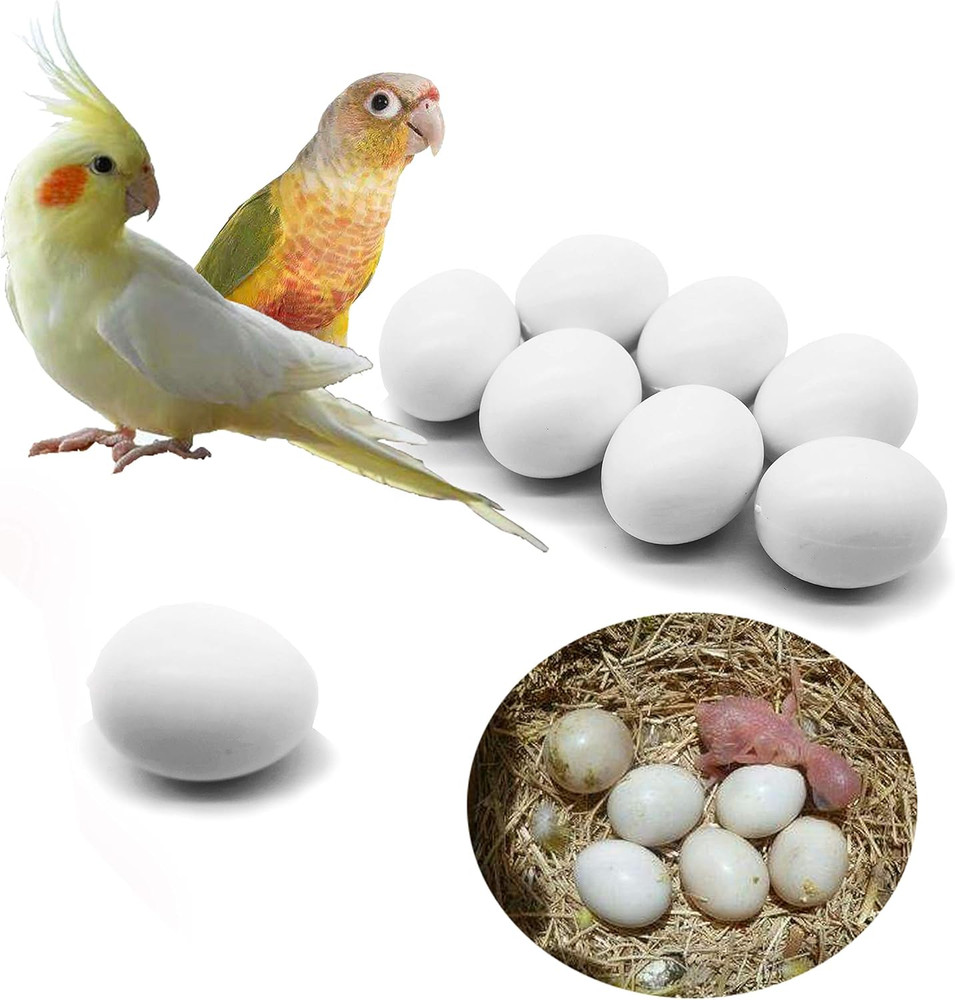 8 Pcs Solid Parrot Plastic Eggs Hatching Eggs Green Cheek, Lorikeet&Ringneck Dov