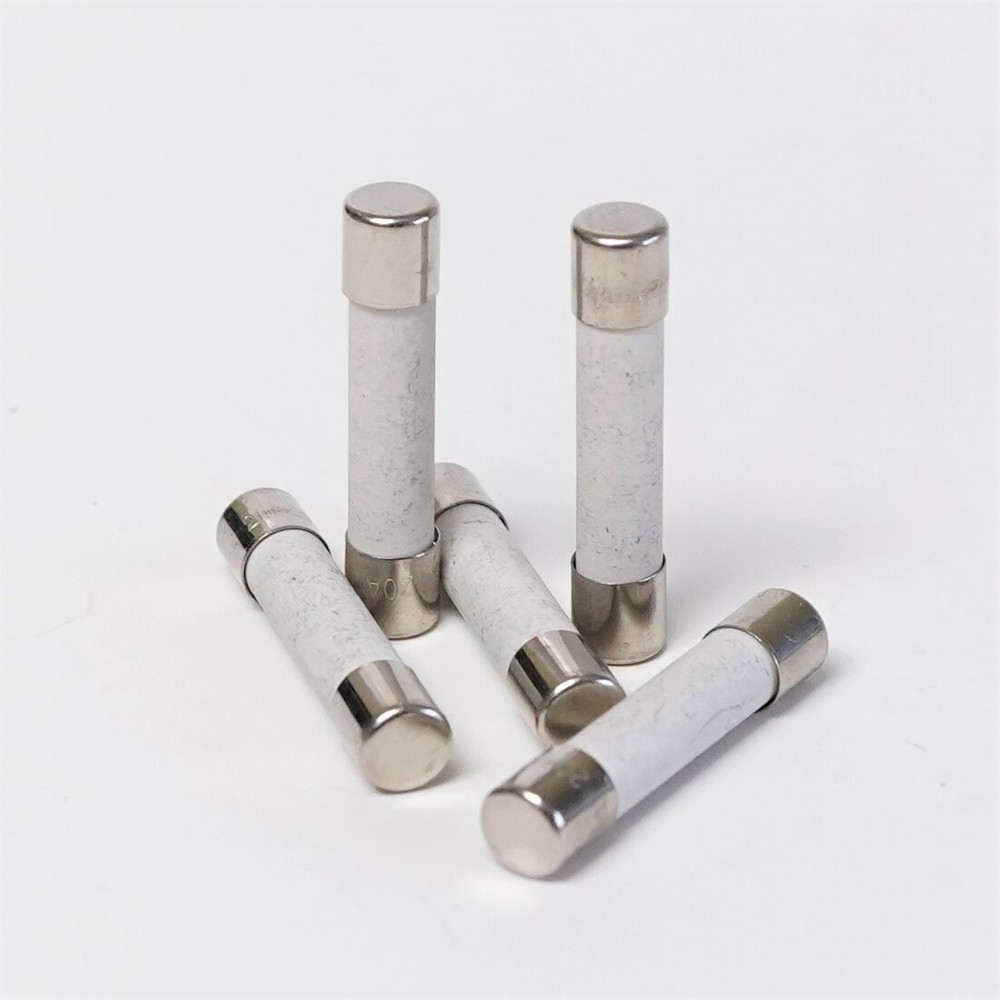 Ceramic 20 Amp Slow Blow Microwave Fuses 5 PACK