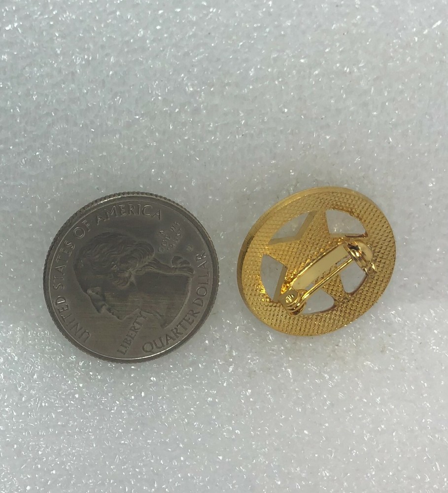 Stop Think Act Review Star Pin