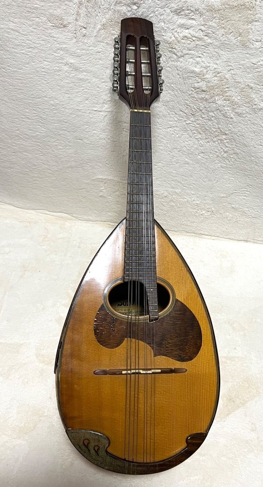 SUZUKI Mandolin M-30 with hard case