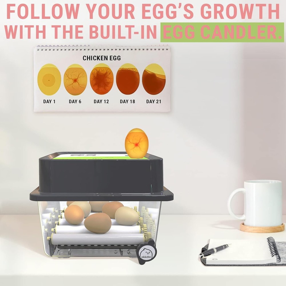 Egg Incubator 36 Eggs Automatic Turner Stable Temperature Humidity Control