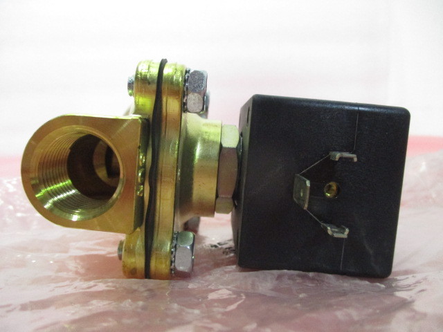 Asco SCE210C094E Solenoid Valve, 450263