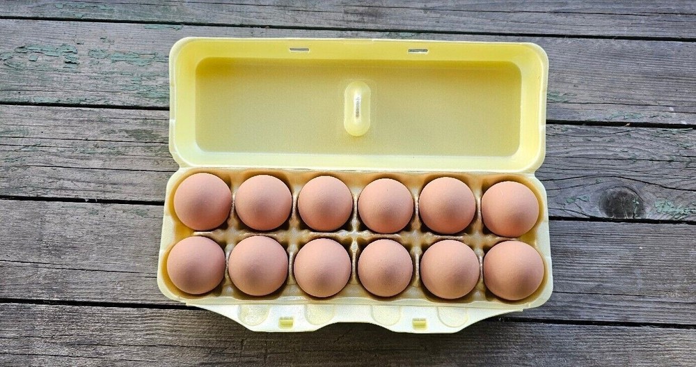 Styrofoam Bulk Egg Cartons (50 pack) Yellow