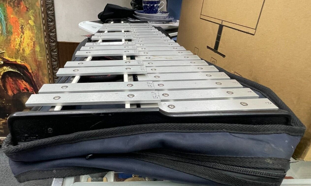 Pearl Xylophone with Travel Case