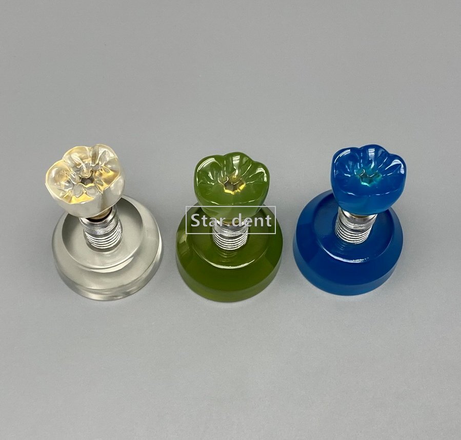 Dental Implant Teeth Model Detachable Abutment Crown Teaching Study Models