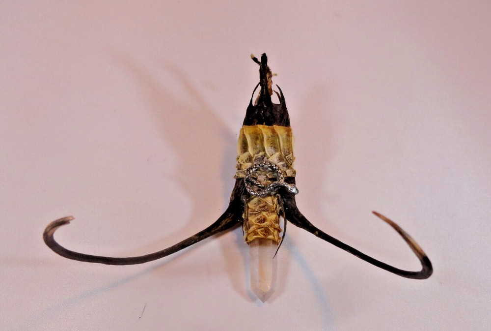 Primitive Folk Art WICCA Devil's Claw handcrafted Witchcraft magical object