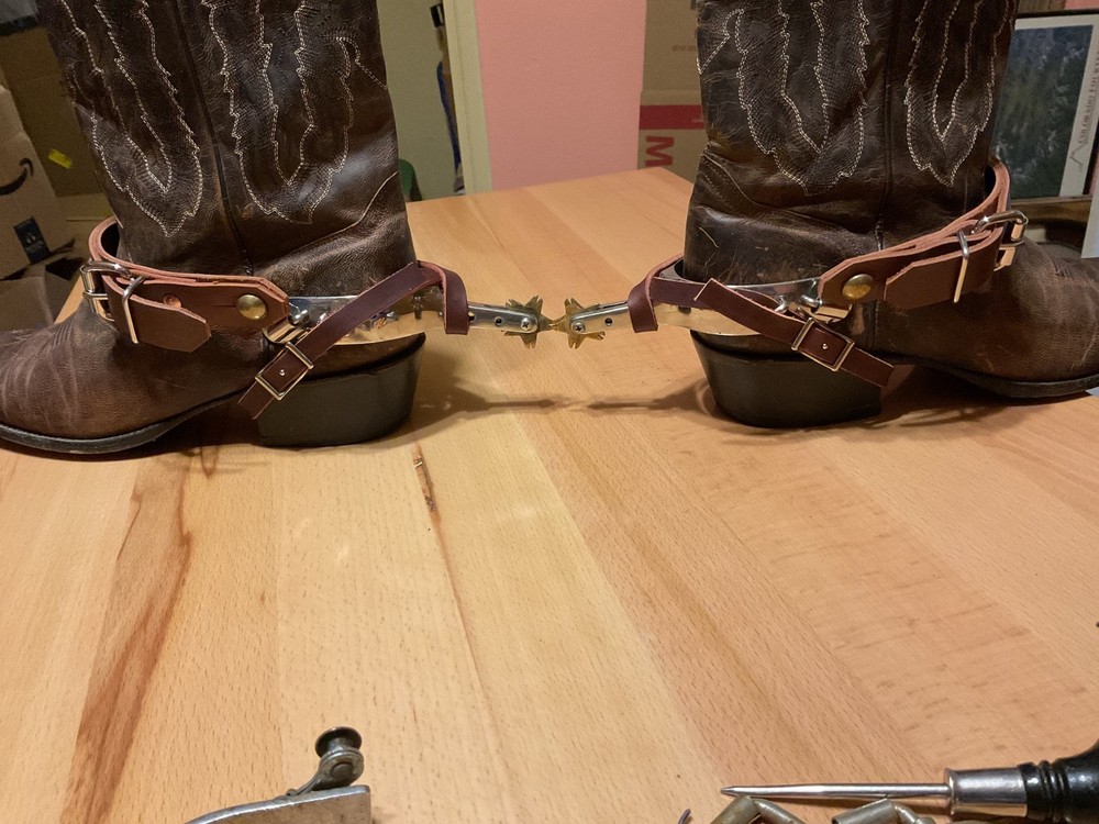 Great looking Bull or Bareback riding Spurs!