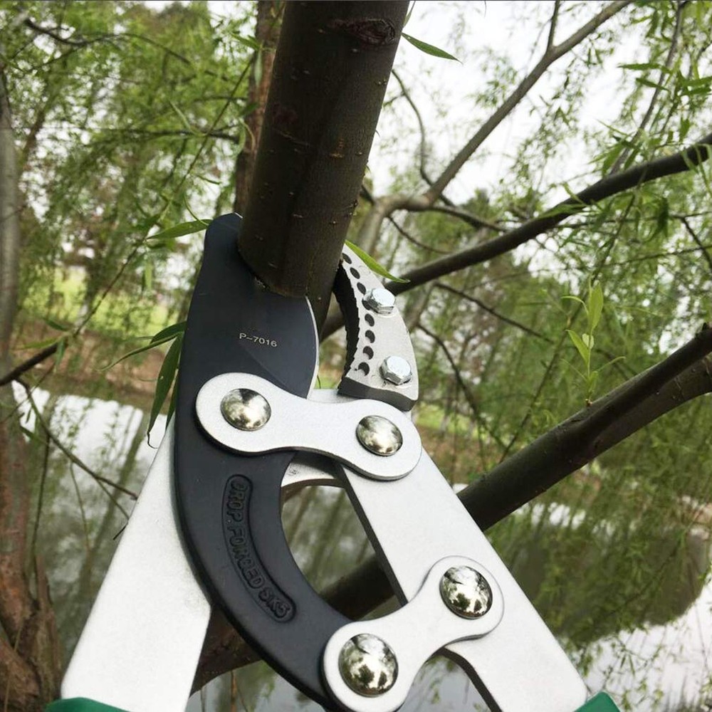 SK5 High-Performance Compound Action Anvil Lopper,Chops Thick Branches with E...