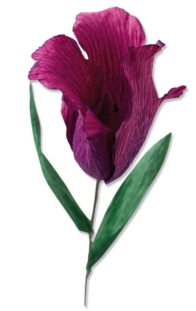 Sizzix Thinlits Fringed Tulip Floral Cutting Dies Spring Easter 664922 NEW