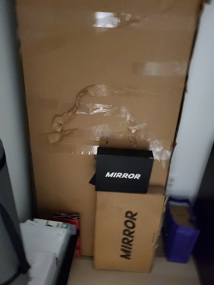 The Mirror Home Work Out System