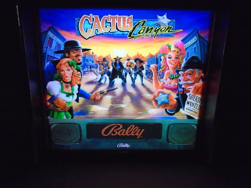 Bally Cactus Canyon Pinball Head LED Display light box