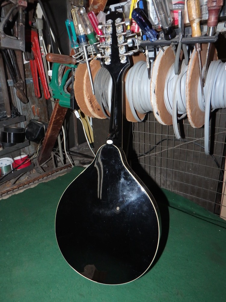 Rogue RM-100A A-Style Mandolin - Black