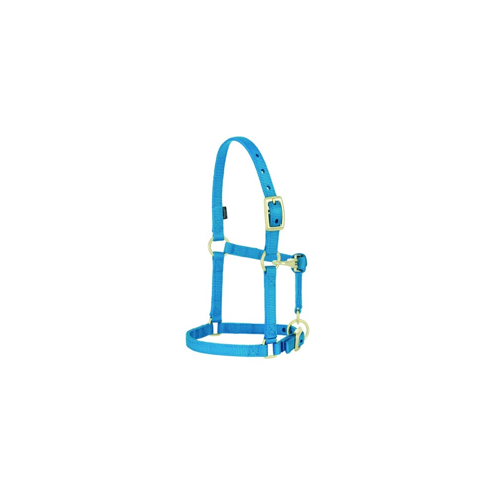 Weaver Leather Adjustable Nylon Foal & Arabian Halter - 3/4” Width