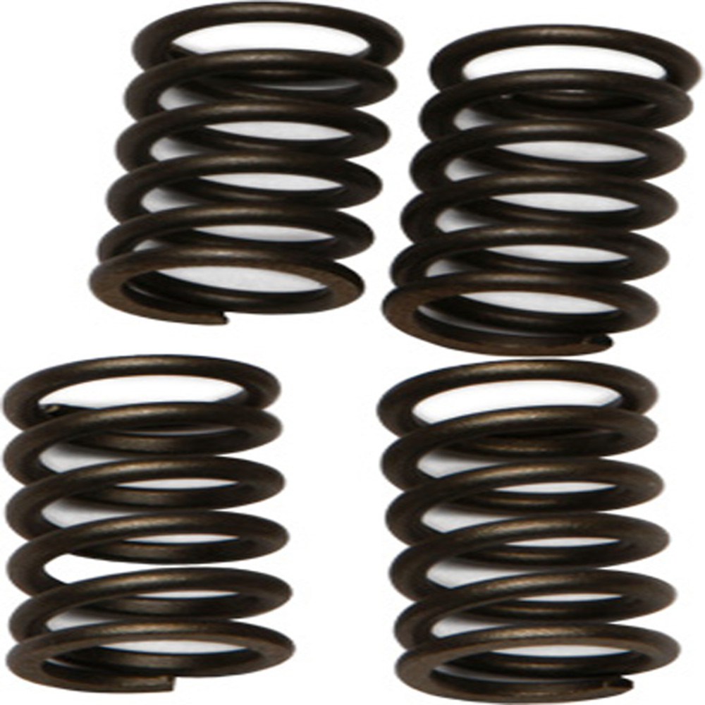 EBC EBC CLUTCH SPRINGS CSK147