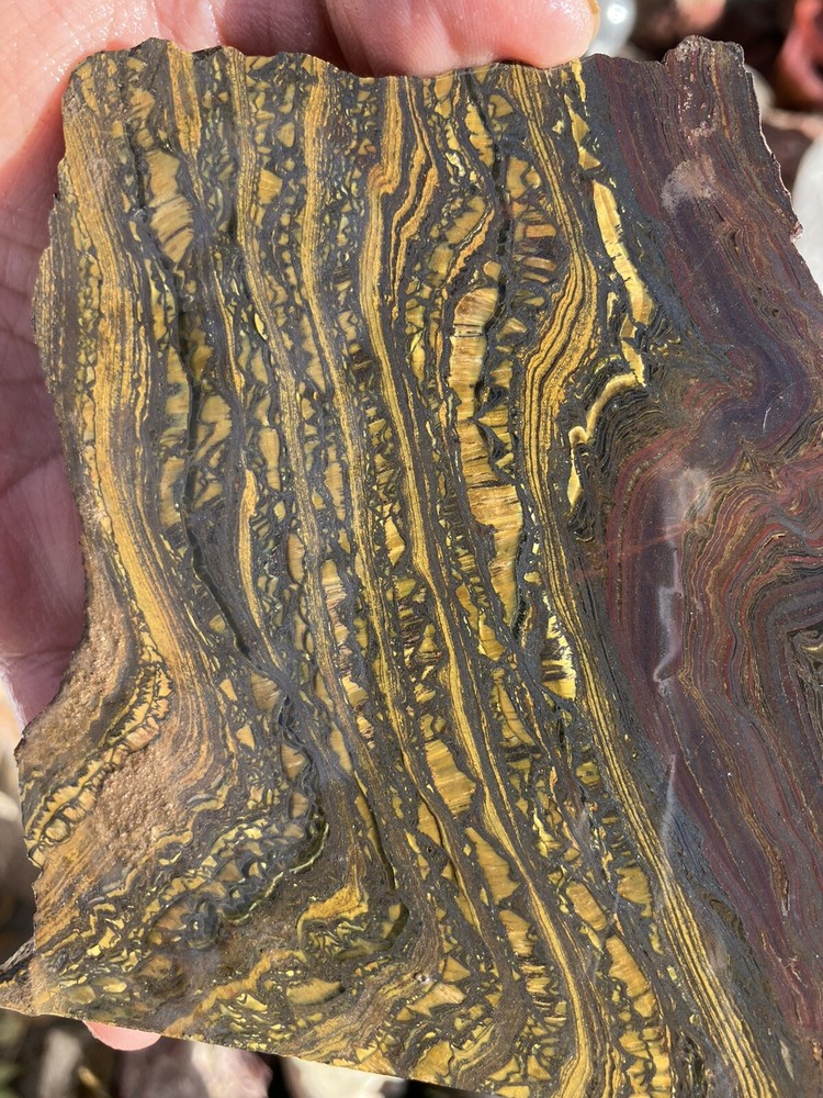 Tiger Iron Slab