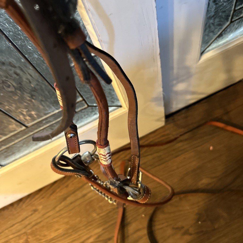 Bridle that combines side pull control with the action of a snaffle bit #R45