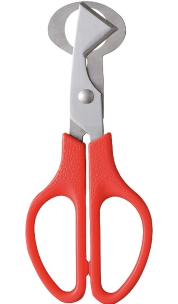 Stainless Steel Quail-Egg Cutter Scissors Kitchen Egg Shears Tool-2Pcs